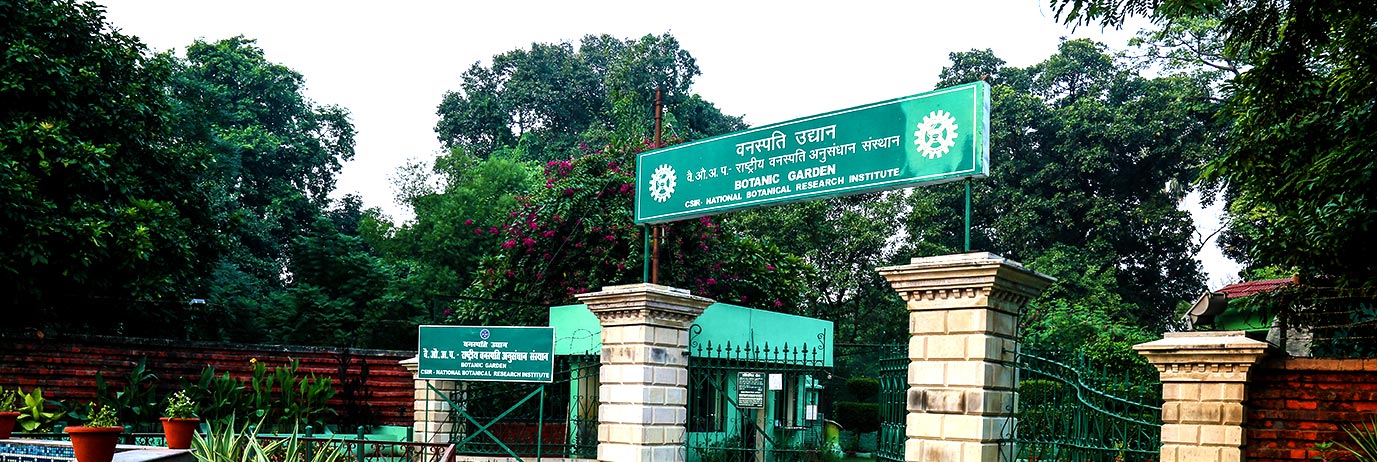 Bara Imambara, Lucknow